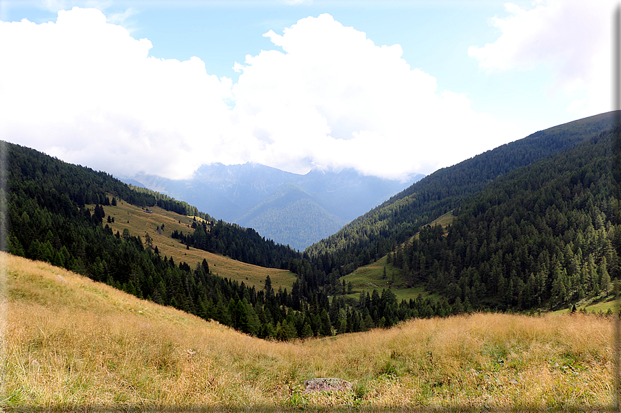 foto Valle del Montalon